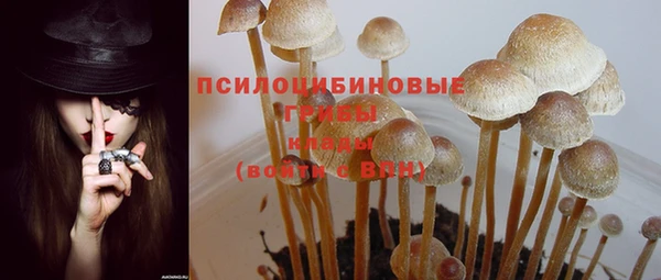 тгк Алзамай