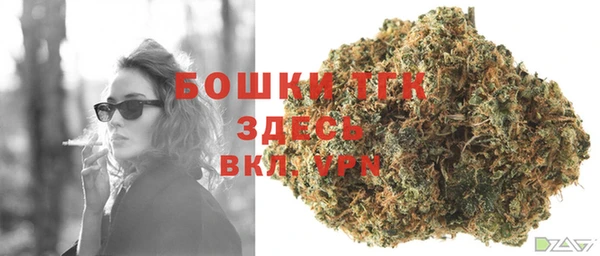 тгк Алзамай